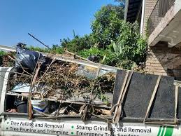 Best Dumpster Rental Services in Waltham, MA